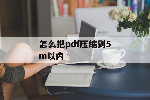 怎么把pdf压缩到5m以内