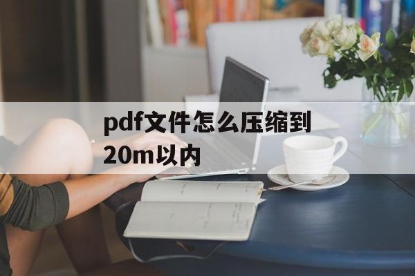 pdf文件怎么压缩到20m以内