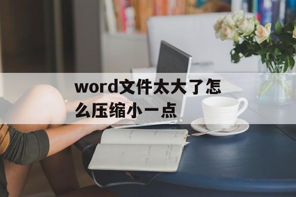 word文件太大了怎么压缩小一点