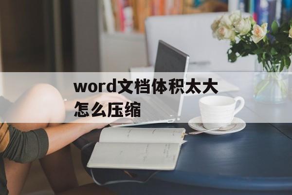 word文档体积太大怎么压缩