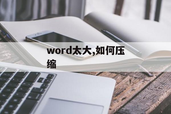 word太大,如何压缩