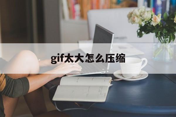 gif太大怎么压缩