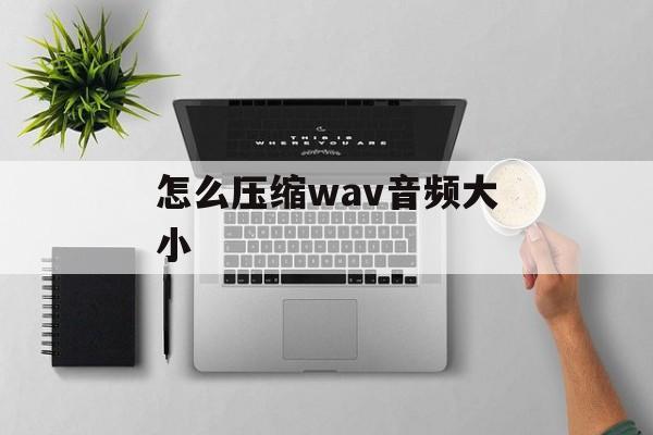 怎么压缩wav音频大小