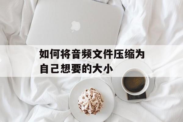 如何将音频文件压缩为自己想要的大小